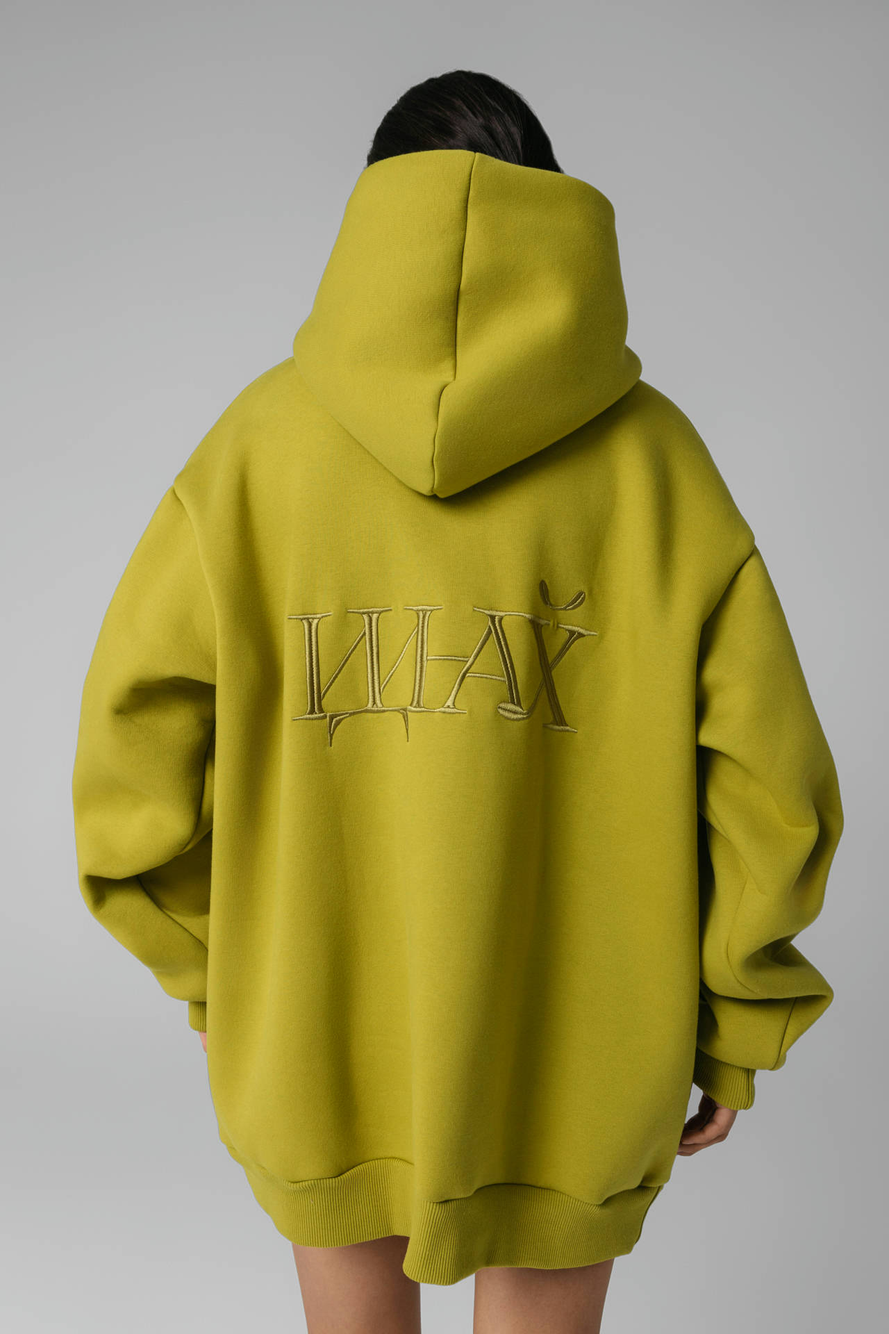 Худи OVERSIZE "ИДНХ" на Спинке