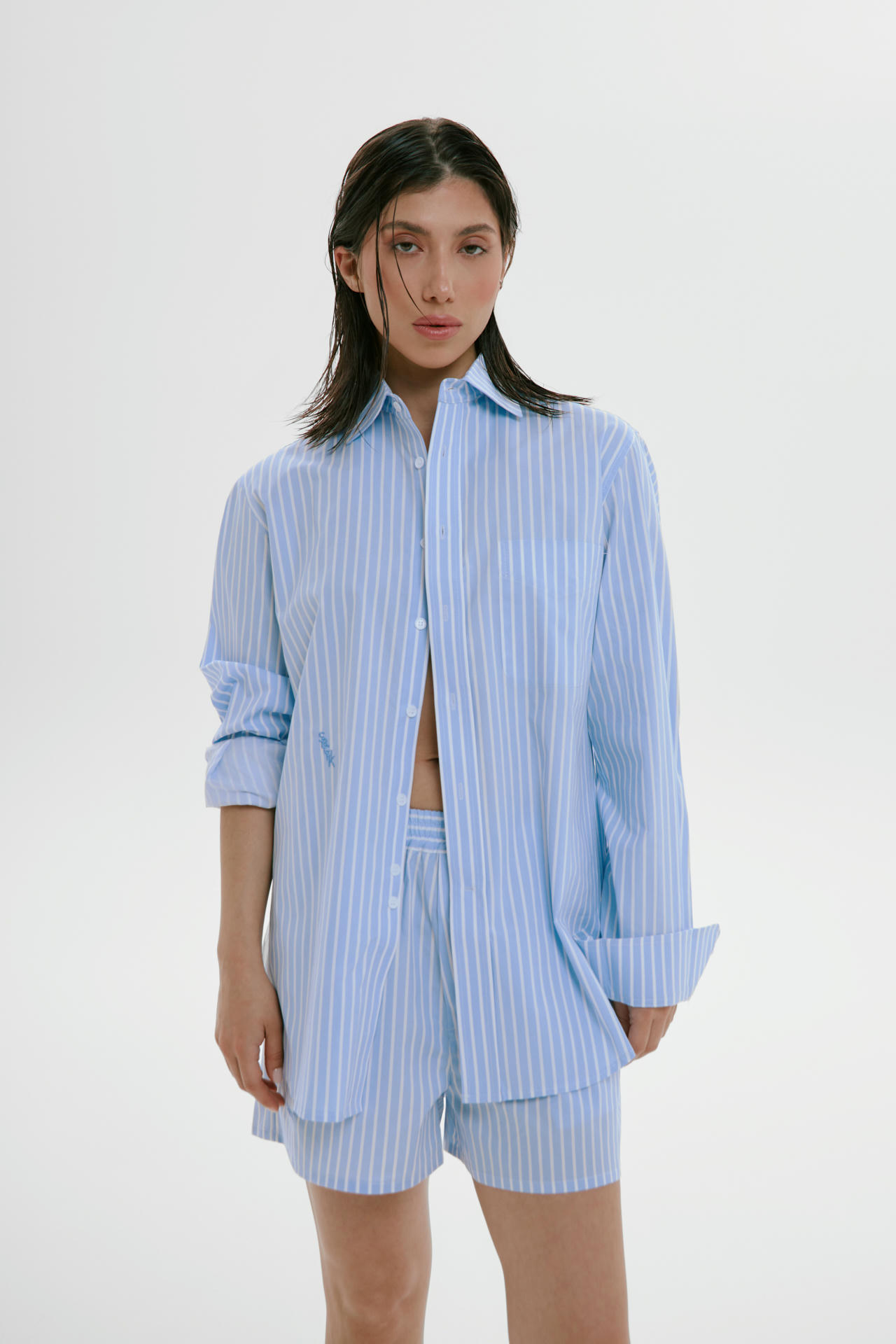 Рубашка unisex SBCHK