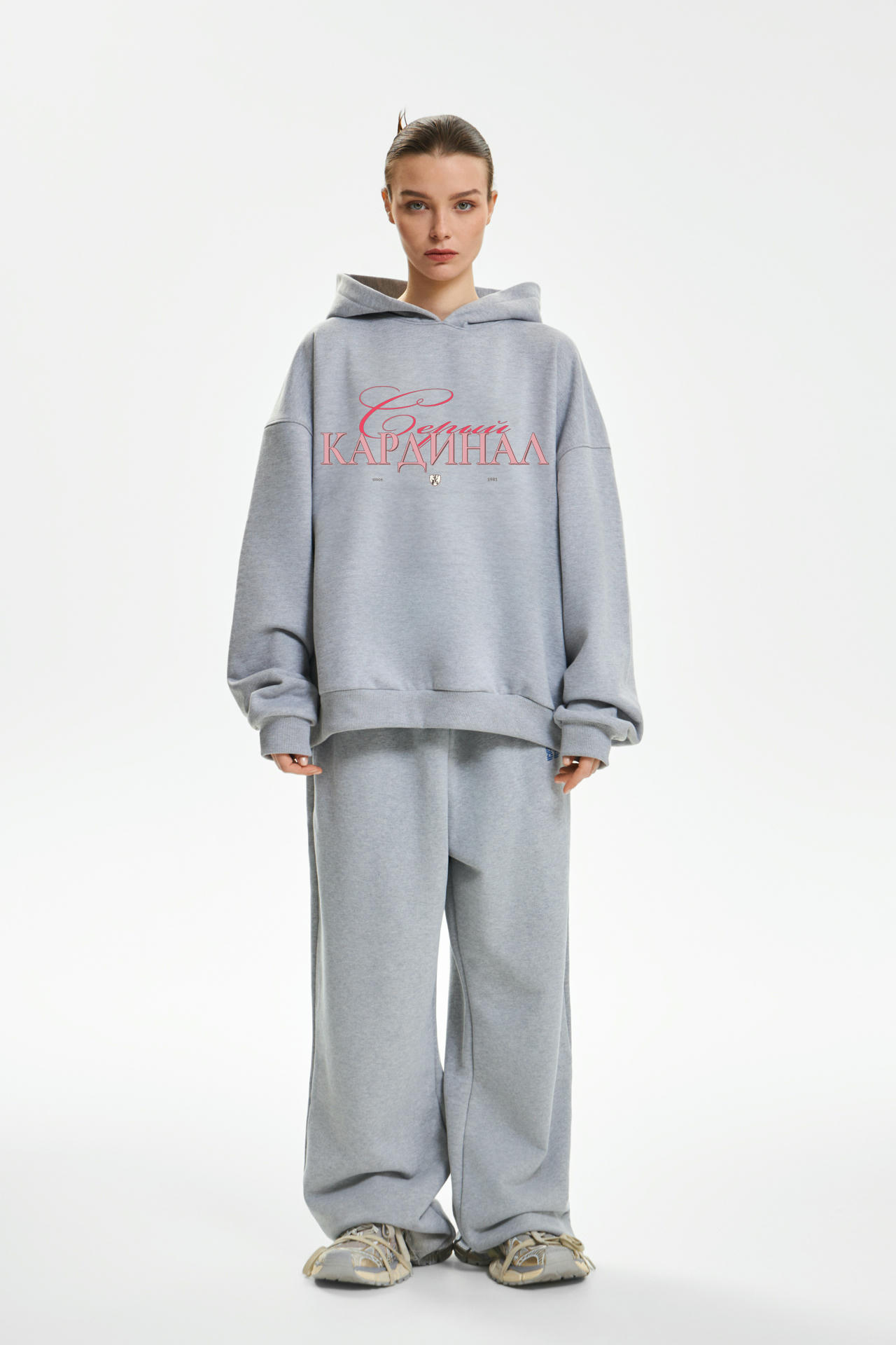 Худи Серый кардинал